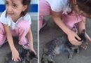 Yol Kenarında Yaralı Halde Gördüğü Yavru Kediye Üzülen ve Ağlayan Minik Fatmanur