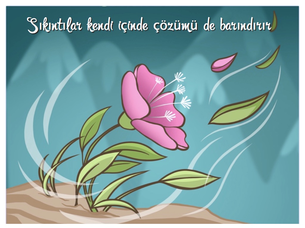 Havuç yumurta kahve hikayesi BambuTurkiye