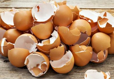 Yumurta kabuklarının 5 farklı kullanım alanı